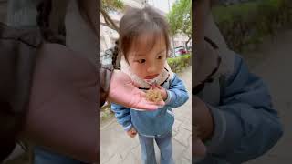 發現特別的樹葉2024/03/14 #上學 #小班 下學期 第4週Day4 #幼兒園 #幼稚園 #可愛 #cute #小孩 #school #kindergarten #taiwan