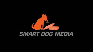 Fox Alternative Entertainment/Smart Dog Media/MBC (2020) #8