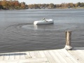 Encore Electric Boat - In-water Demonstration