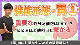 機能形態[胃]【①】病態や薬理に直結するので要チェック！！！