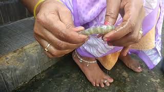 இறால் தோல் உறிப்பது ஏப்படி | how to peal prawn over skin