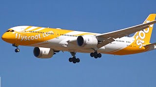 HD Scoot Boeing 787-9 Dreamliner - Landing at Melbourne Airport Australia [9V-OJB]