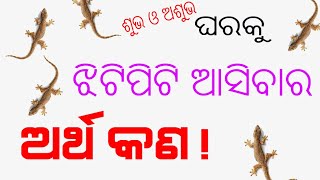 2ଟି ଝିଟିପିଟି ଏକାଠି ଦେଖିଛନ୍ତି କି ହେବ ଧନର ବର୍ଷା // Odia Online // gruhare jhitipiti dekhibara artha