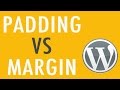Difference between Padding & Margin in CSS