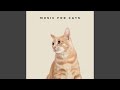 Music For Anxious Cats