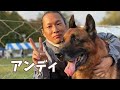 【ジャーマンシェパード】目指せ日本一‼︎ サツキ出陣‼️ オスカー出陳‼️