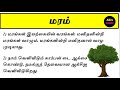 மரம் 🌳| 10 வரிகள்| மரத்தின் பயன்கள் | கட்டுரை | மரம் இயற்கையின் வரம் | Maram katturai | Tree