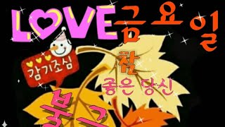 글귀#tv LOVE 금요일