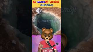 మీరు ఈ వాటర్ లో ఎందుకు మునగలేరు  ?  | Floating water Explained | Voice Of Memoji