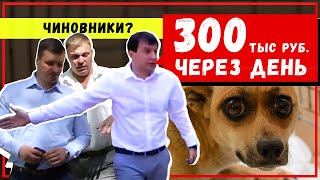 Чиновники заставляют платить по 300тыс рублей, травят животных. Беспредел в Краснодаре. Анонс фильма