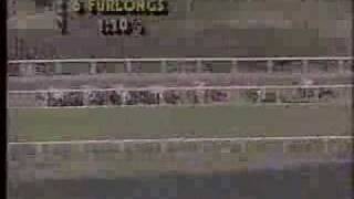 1987 Breeders' Cup Classic