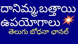 దానిమ్మ,బత్తాయి ఉపయోగాలు/సంపూర్ణ ఆరోగ్యానికి పళ్ళ రసాలు/తెలుగు బోధనా ఛానల్