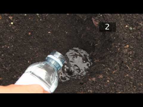 How To Test Soil PH How To Test Soil PH