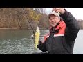 How to Catch Perch - Perch Tips using Live Minnows