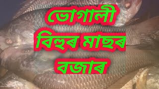 মাঘ বিহু উৰুকা মাছৰ বজাৰ চাওঁ আহক# Maghbihu  SOLONG Fish market