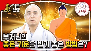 부처님의 좋은 기운을 받기 좋은 방법은?_수계- 기도신행5-2