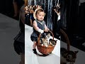 baby fashion show p11 baby cute fashion animal animals