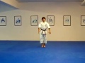 taikyoku godan shotokan karate kata