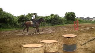 2012/08/14村上＆ボス【ジムカーナ】11