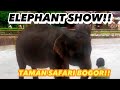 PERTUNJUKAN GAJAH SUMATERA || ELEPHANT SHOW!! TAMAN SAFARI BOGOR 2023!