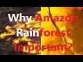 Why is the Amazon Rainforest important?  Amazon rainforest on fire : ‘Lungs of the world’ in flames