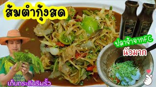 ตำกุ้งสด ปลาร้าสูตรเด็ด แซ่บนัวมากเก็บกระถินริมรั้ว  Papaya Salad with Shrimp