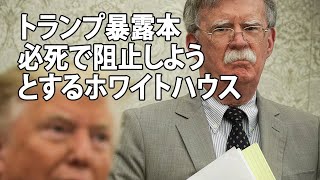 トランプ暴露本元側近ボルトン氏が全てを明かす！再選に影響はあるのか？