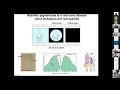 Cone-Directed, Gene-Independent Approaches in Rod-Cone Degenerations, José-Alain Sahel, MD | UCI