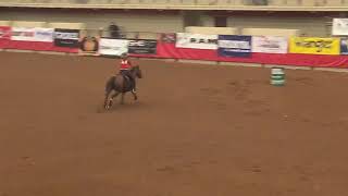 Crickets Kas Cardholder Race WPRA World Finals Waco, TX