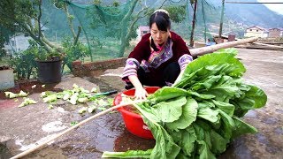 【ENG SUB】乡野丫头：教你漂菜的秘制方法，过程简单，零厨艺也会做开胃菜