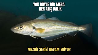 BÖYLE BİR AV YOK ATÇEK BALIK !!! PEKİ NEDEN GÜNÜ GÜNÜNÜ TUTMUYOR!!1 LRF MEZGİT AVI !!