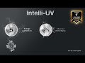 AO Smith | Intelli UV-Experience Smart Purification | Intelli UV Water Purifier Online For Home