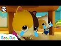 Keluarga Bayi Kucing & Keluarga Bayi Panda | Kumpulan Film Anak | BabyBus Bahasa Indonesia