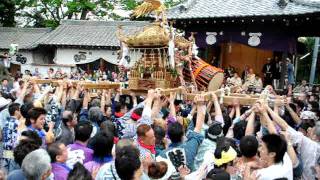 平成２３年　池上・太田神社　例大祭　宮神輿（二之宮）宮入り