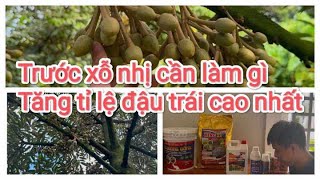 Cách tăng tỉ lệ đậu trái nhiều nhất sau xổ nhị lh:0988892476