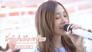 นี่ๆข้างในมีใครอยู่ไหม - PUIMEK l Acoustic Live Session