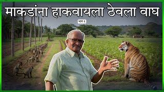कोकणी आजोबांचे जुगाड | माकडांसाठी चक्क ‘वाघ’ | Kokani Old Farmer