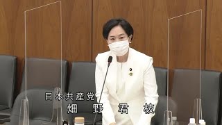 衆議院 2021年05月13日 消費者問題特別委員会 #11 畑野君枝（日本共産党）