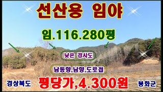 물번.406번) 대형임야,116.280평 엄청 싼평당,4.300원 시멘트도로접,지적도상의 도로접,남서향,남향,남동향,선산용임야,농림지역,임업용산지,소하천구역,매매가,5억원에 착함