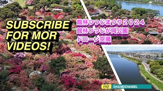 館林つつじまつり2024…館林つつじが岡公園ドローン空撮