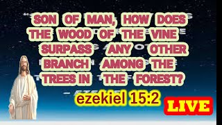 Son of man, how does a grapevine compare to a tree?---Ezekiel 15:2