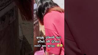 ඉපදුණු දවසෙම පාරට විසි කරලා 😭😭💔 #animallover #minivlog #viral #kandyguineapigs #foryou #happyday