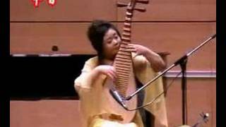 琵琶 Pipa - 樊微 Fan wei plays 寒鸦戏水 Han Ya Xi Shui