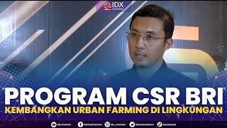 Program CSR BRI Kembangkan Urban Farming di Lingkungan | NEWS SCREEN 14/11/2022