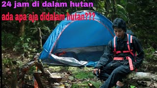 camping di pedalaman hutan belantara Kalimantan selama 24 jam!