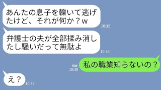 【LINE】私の息子を飲酒運転で轢いて緊急搬送させた義姉｢弁護士の夫が全部揉み消したｗ｣私「私の職業知らないの？」→一切反省しないクズ女を徹底的に制裁した結果ｗww