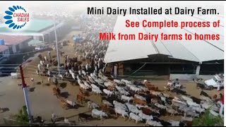 Mini Dairy at Dairy Farm on Turnkey basis from milking to milk processing \u0026 milk packaging.