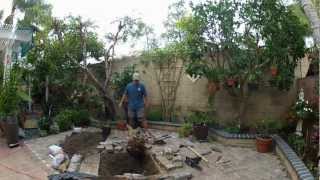 Thiennho - Goodbye Cay Man and welcome cay Nhan 11-17-12.wmv