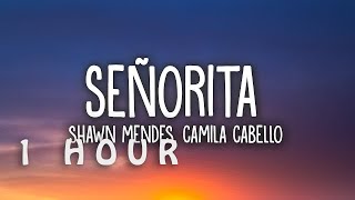 [1 HOUR 🕐 ] Shawn Mendes, Camila Cabello - Señorita (Lyrics)