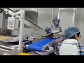 Skywin / MyBake cracker biscuits production line